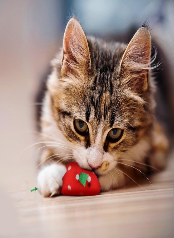 Andiker 5 Pcs Cat Mouse Toys, Soft Cat Plush Toy with Fruit Pattern Interactive Cat Toys for Indoor Cats and Kittens to Bite Chew Scratch - Image 5